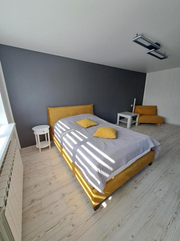 纳尔瓦Rakvere studio的一间卧室配有一张带黄色枕头的大床