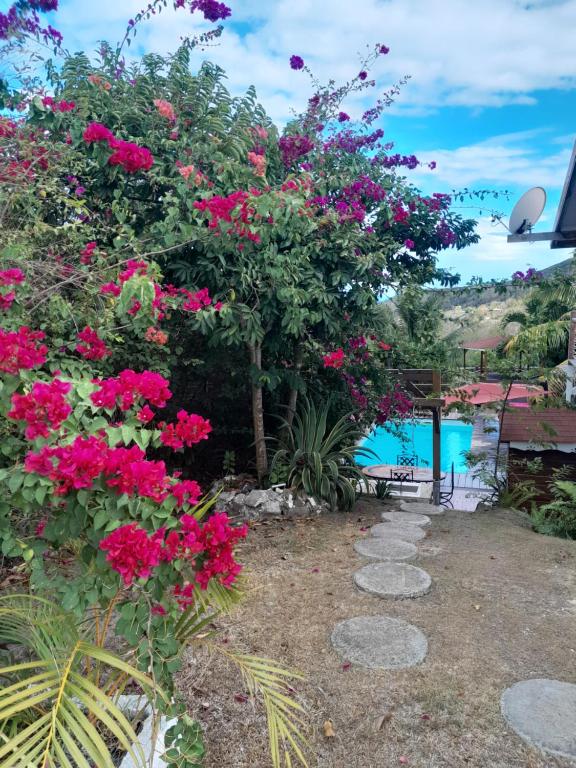 勒迪亚芒LE DIAMANT Charmante Villa pour la famille ou entre amis SPA et Piscine的一座种有粉红色花卉的花园和一个游泳池