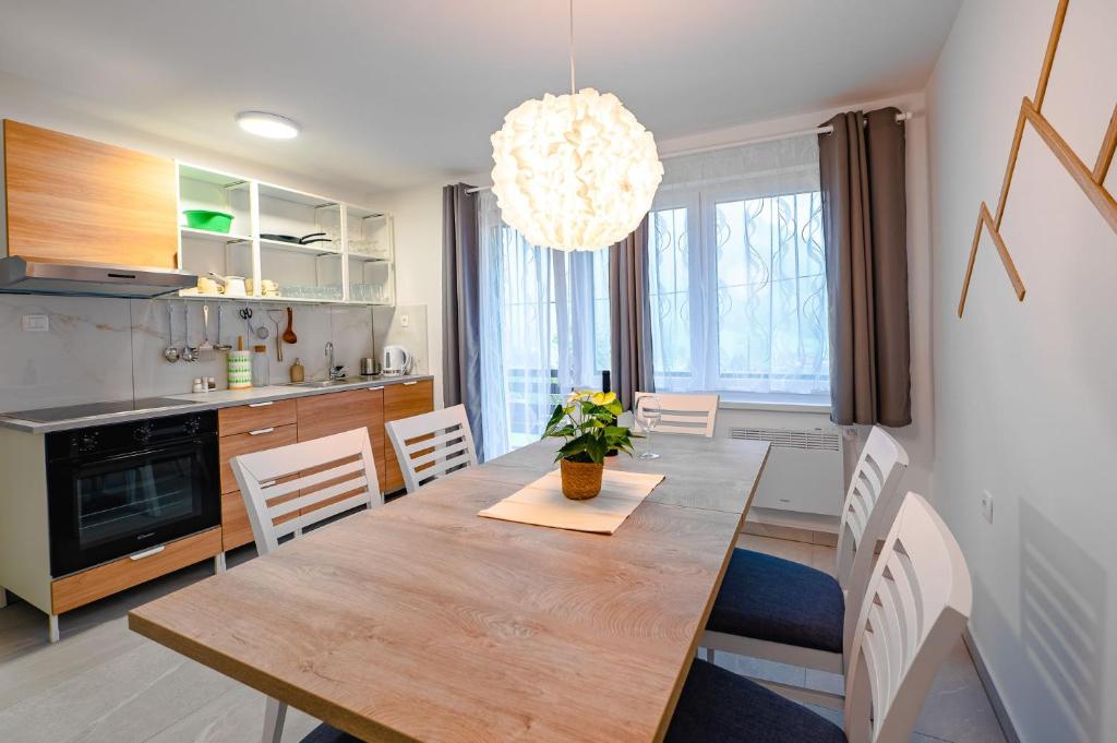 莫斯特拉纳Apartma na hribu的厨房以及带木桌和椅子的用餐室。