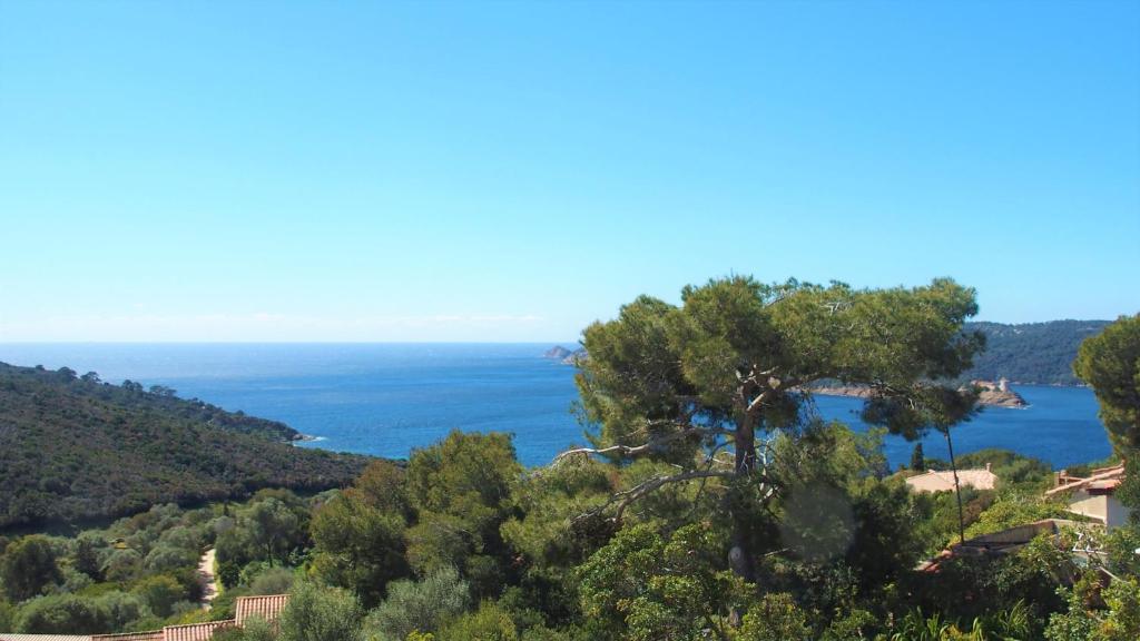 耶尔La roche aux mouettes Ile du Levant的从小山的树上欣赏海景