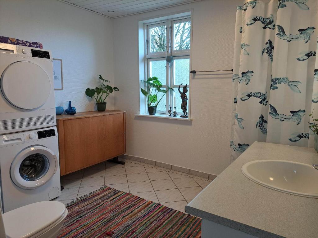 吉弗Hyggelig ferielejlighed i Harresø的一间带水槽和洗衣机的浴室