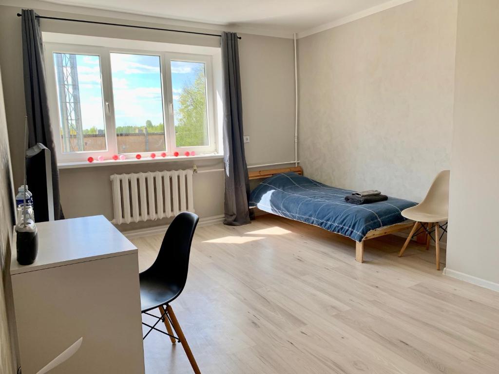 叶卡布皮尔斯Modern Apartment in Jekabpils的小房间设有床和窗户