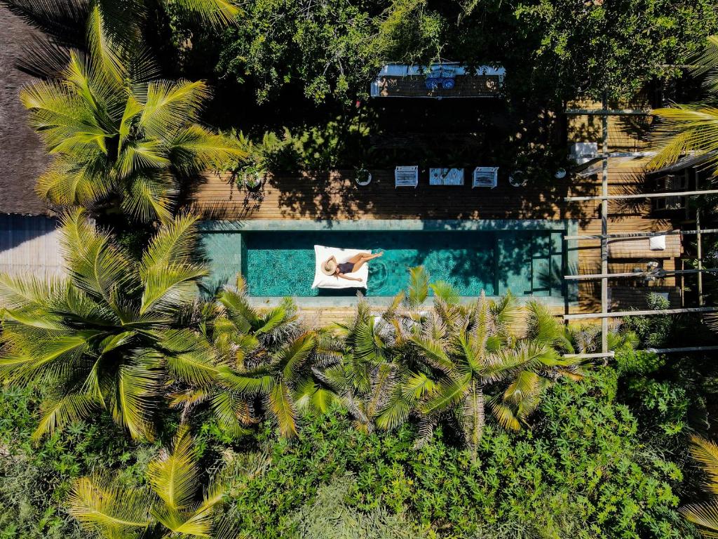 巴拉格兰德Caiçara Bangalôs Barra Grande的享有棕榈树游泳池的顶部景致