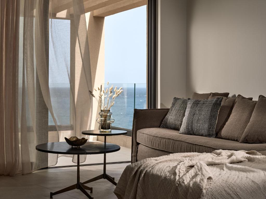 扎金索斯镇Salita - Comfort Living Apartments的带沙发和大窗户的客厅