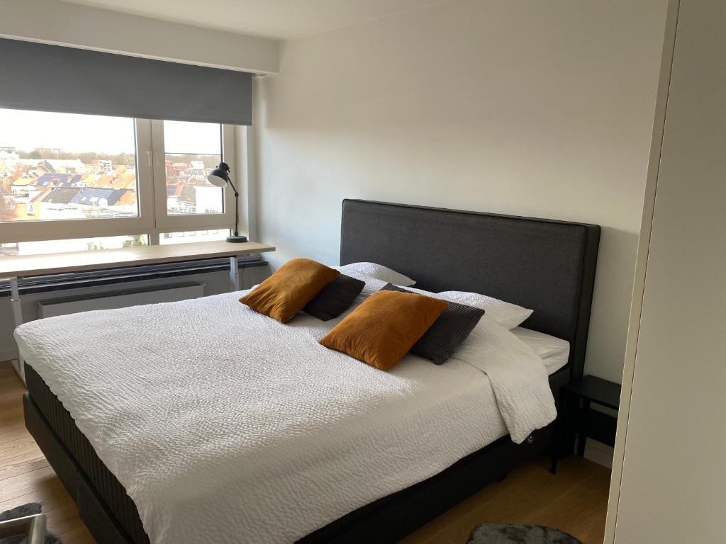 根特Le Sable Doux - Gent的一间卧室配有带两个枕头的床和窗户