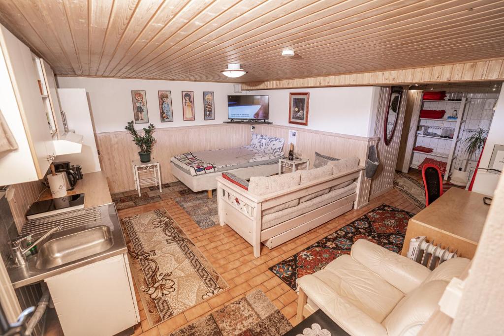 皮耶塔尔萨里Mukava kellarihuoneisto jossa sauna ja poreallas的客厅配有沙发,享有空中美景