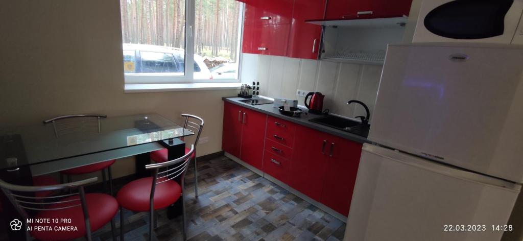尤尔马拉Varnukroga House的一间设有红色橱柜和红色柜台的小厨房