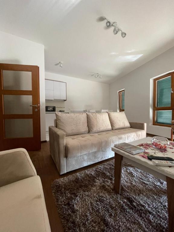 佩特罗瓦纳莫鲁ADTHE的客厅配有沙发和桌子