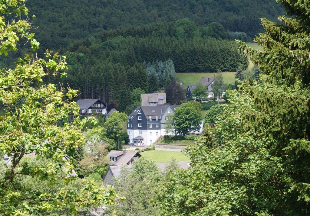 温特贝格尼藤博尔格早餐加住宿酒店的山中树木的城镇