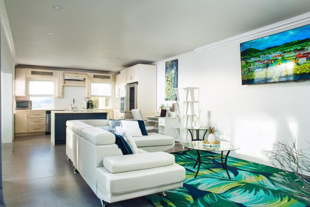 巴斯特尔La Vue de Basseterre Apartments - Luxury in Bird Rock的客厅配有白色的沙发和桌子