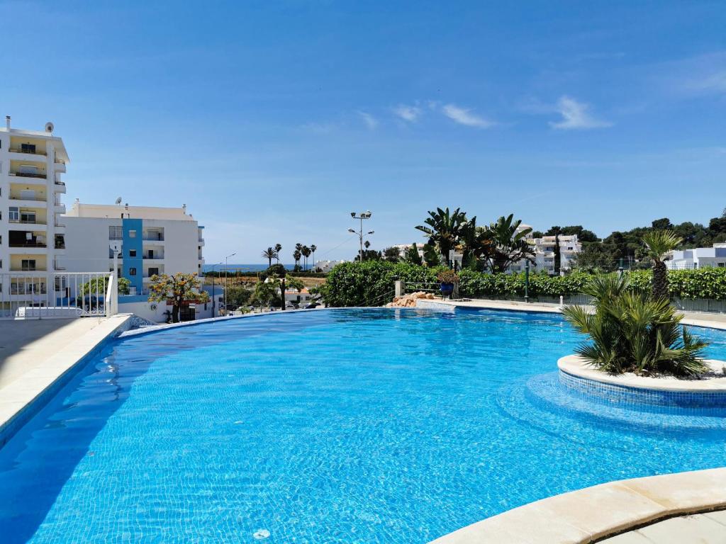 阿玛考德佩拉Mare Nostrum的一个大型蓝色游泳池,其建筑背景为: