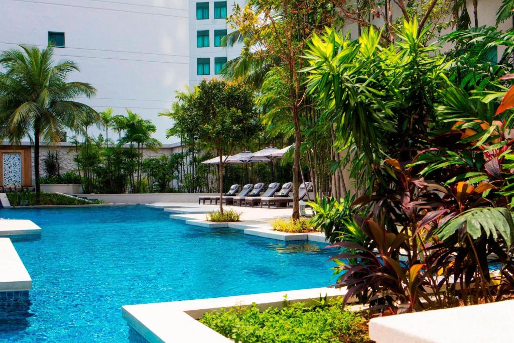 吉隆坡The Ritz-Carlton, Kuala Lumpur的一座游泳池,里面种有椅子和棕榈树