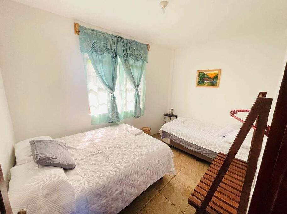 圣佩德罗拉拉古纳Apartamentos Jasmin的一间卧室设有两张床和窗户。