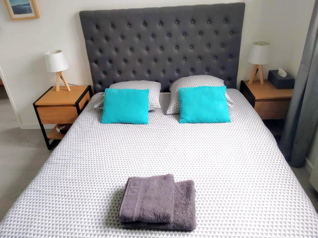 比赞诺Chambre et salle de bain de privée proche de Pau的一间卧室配有一张大床和两个蓝色枕头