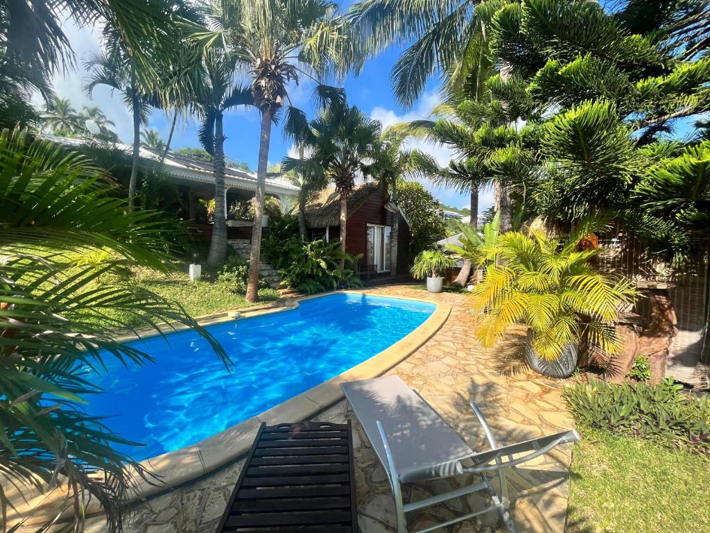 FleurimontBungalow indépendant dans jardin exotique , piscine的棕榈树屋前的游泳池