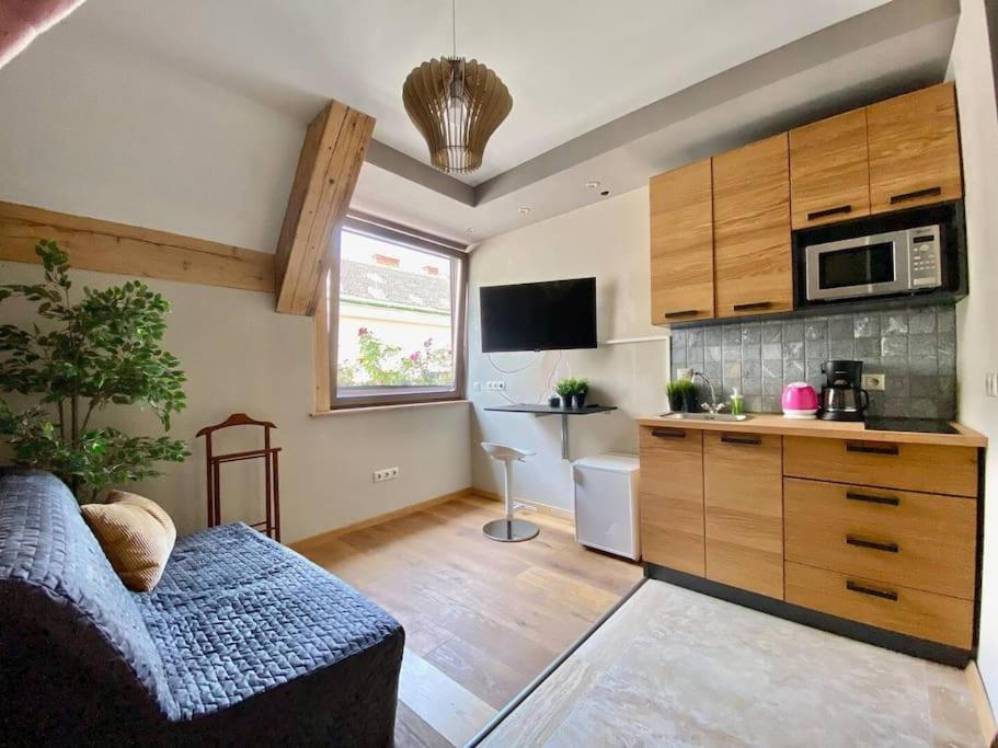 布达佩斯Charming studio shared rooftop terrace/Jacuzzi 360 view的客厅设有沙发厨房