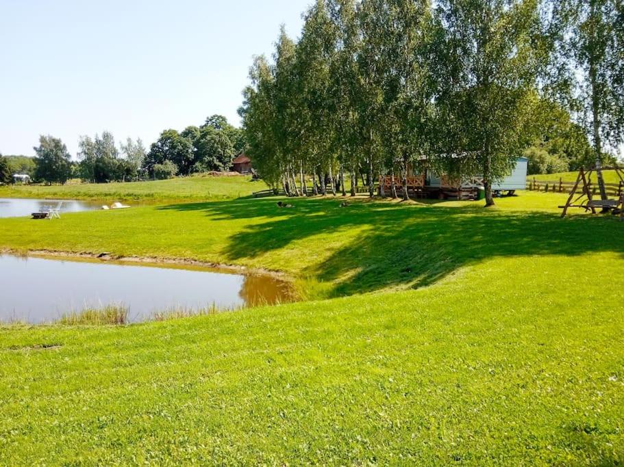 BudryBrzozowa Polana的草地,有池塘和树