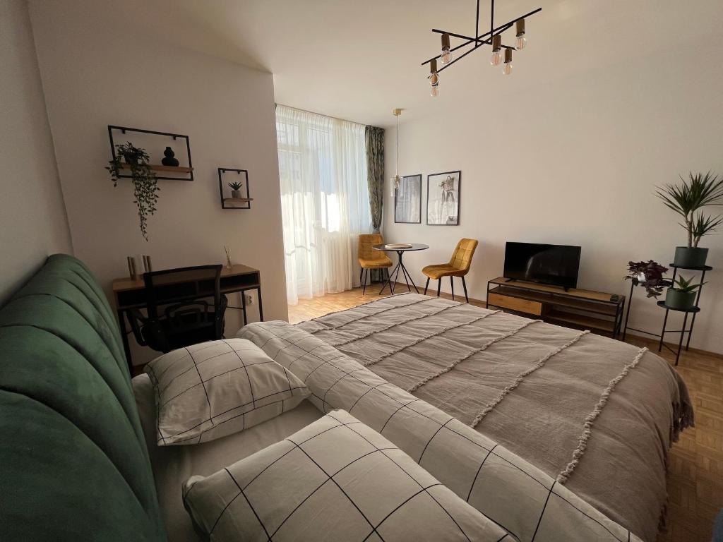 克卢日-纳波卡C & A apartments的一间带大床的卧室和一间客厅