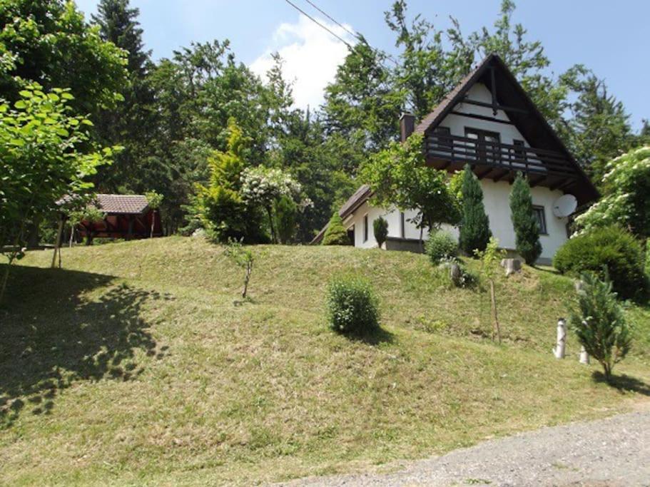 代尔尼采Kuća na osami pokraj jezera的草山顶上的一个小房子