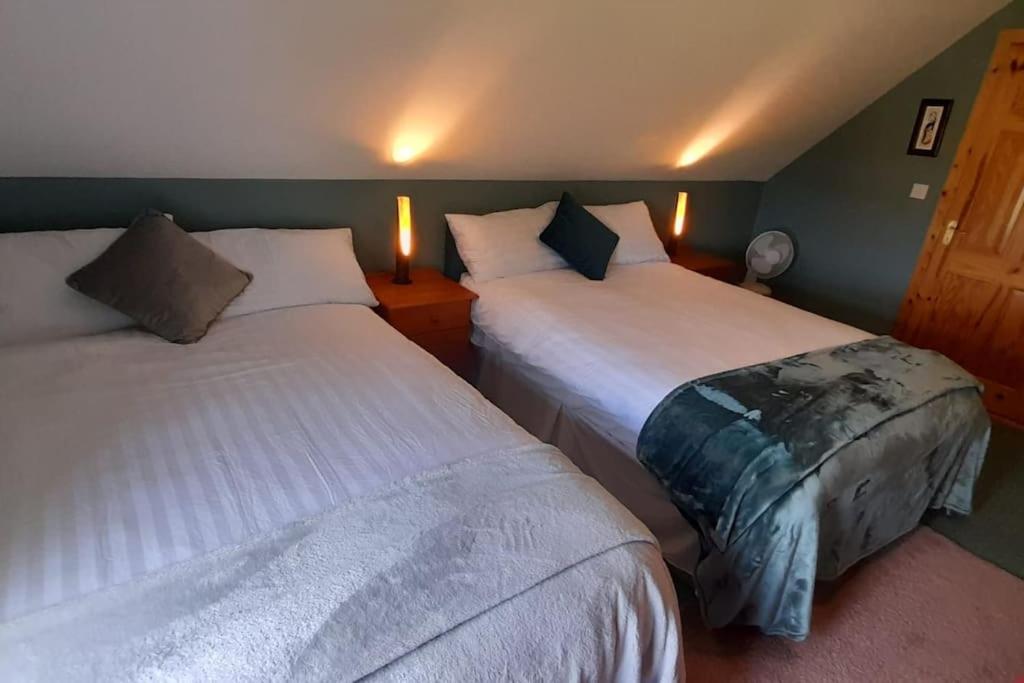 罗斯康芒Private bedroom. Athlone and Roscommon nearby的配有2盏灯的酒店客房的2张床