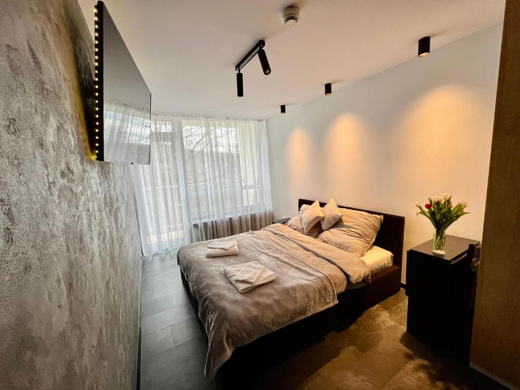 乌斯特龙Apartament Ustroń的一间卧室设有一张床和一个大窗户