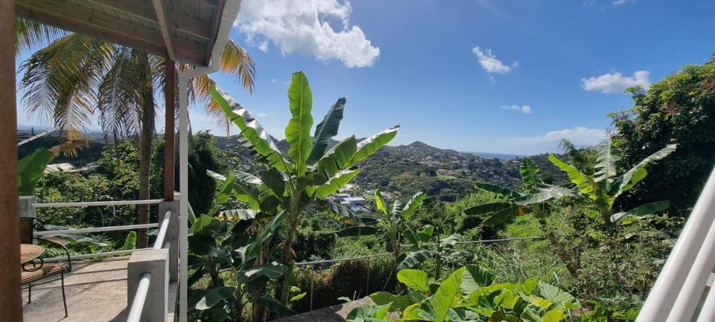 Morne Jaloux RidgeTranquility with Stunning View的从房子的阳台上可欣赏到丛林景色