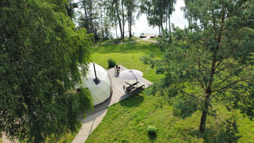 PalivarkasGlamping Zarasai的树木林地帐篷的空中景观