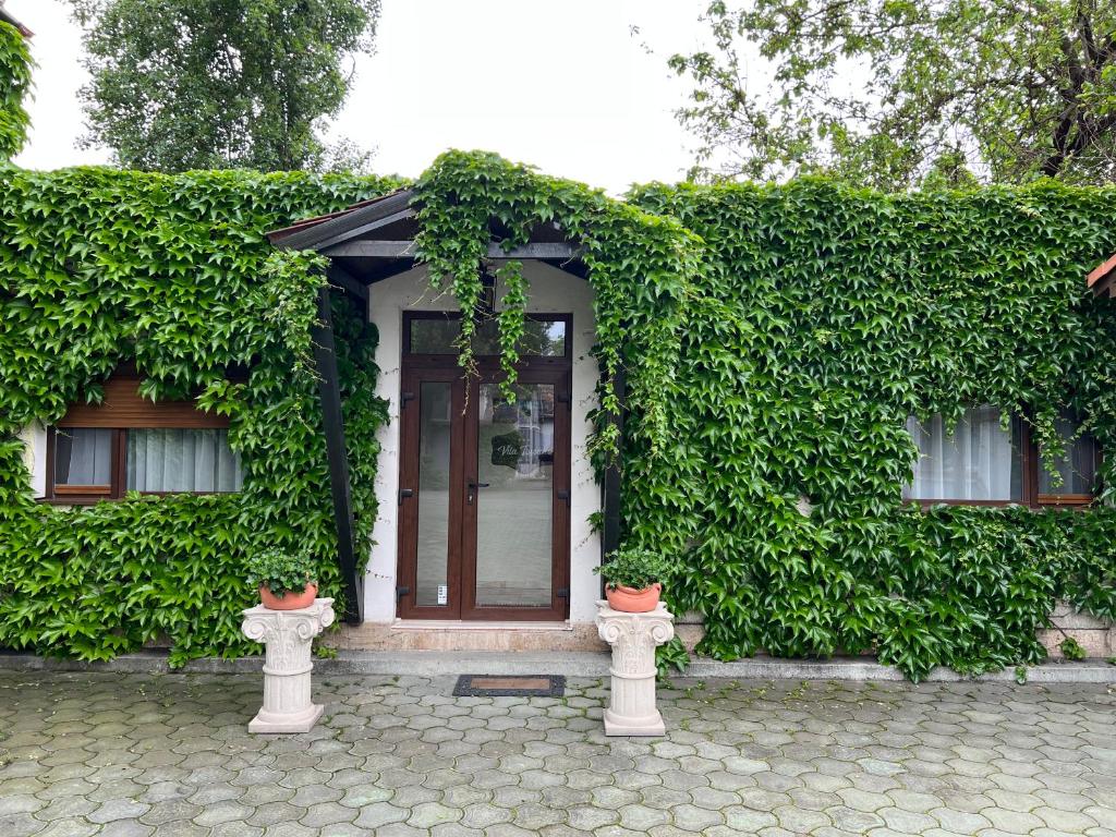 蒂米什瓦拉Vila Toscana的两株植物覆盖的绿色常春藤房子