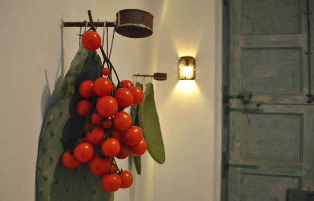 莫尔恰诺迪莱乌卡Palazzo San Giovanni的挂在仙人掌上的红浆果