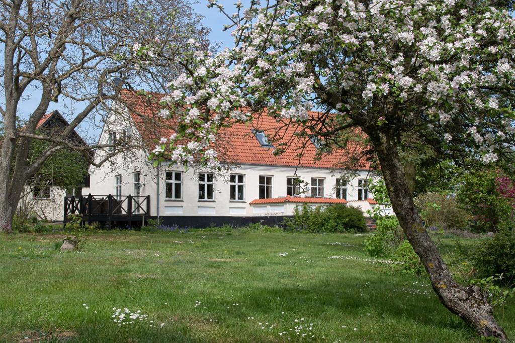伦讷Feriehuset Ørnereden的白色的房子,有红色的屋顶和一棵开花的树