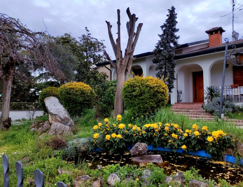 BerraVilla Berra - Via Postale 63/A的一座花园,在房子前面有黄色的花朵
