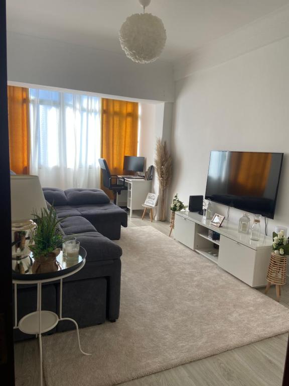 阿马多拉An elegant & cozy apartment的客厅配有蓝色的沙发和平面电视。