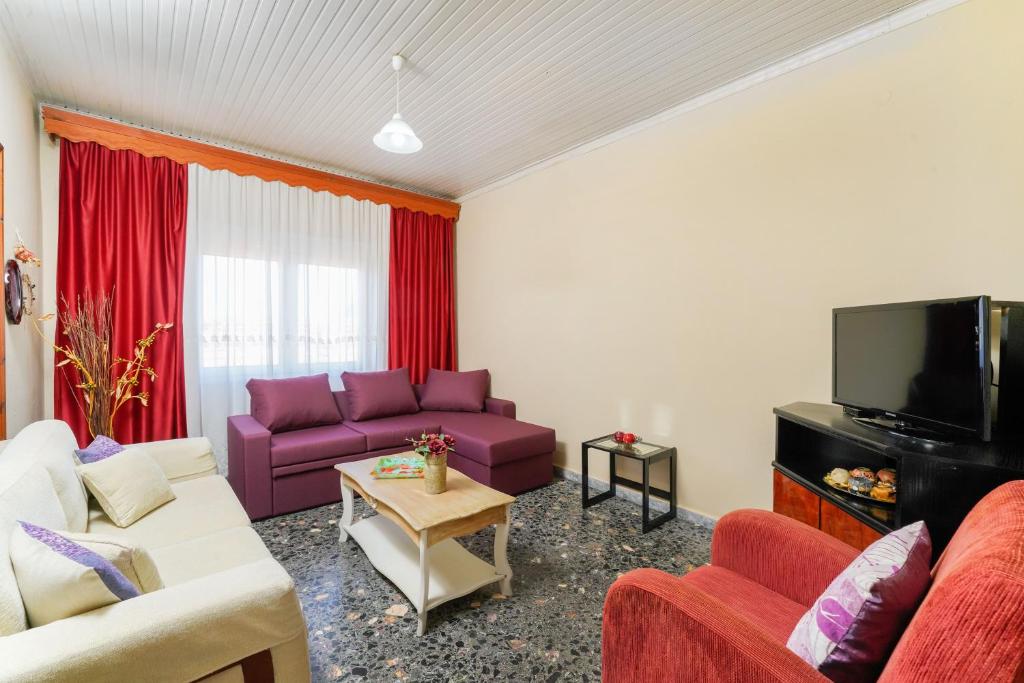 普里诺斯Elia Villa Thassos的客厅配有紫色沙发和电视
