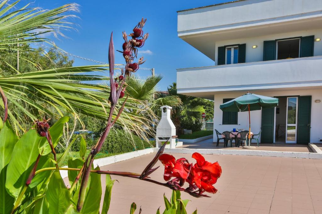 丽都玛里尼Appartamento fronte spiaggia的从花园中欣赏到红色鲜花的景色