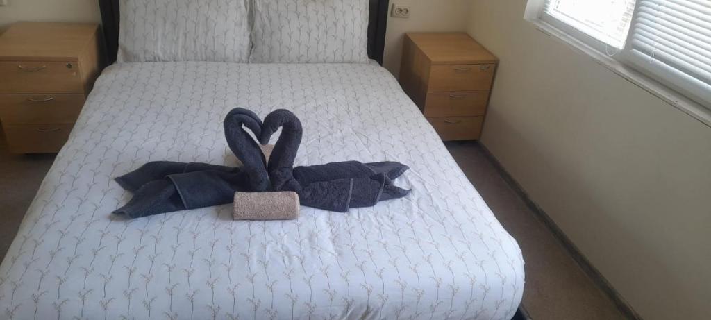 蒙塔纳Pliska apartment的一张床上有两条黑色的弓形床