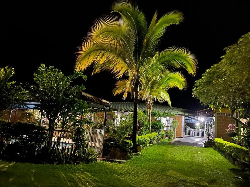 里韦拉villa vale Rivera Huila的棕榈树庭院,晚上的房子