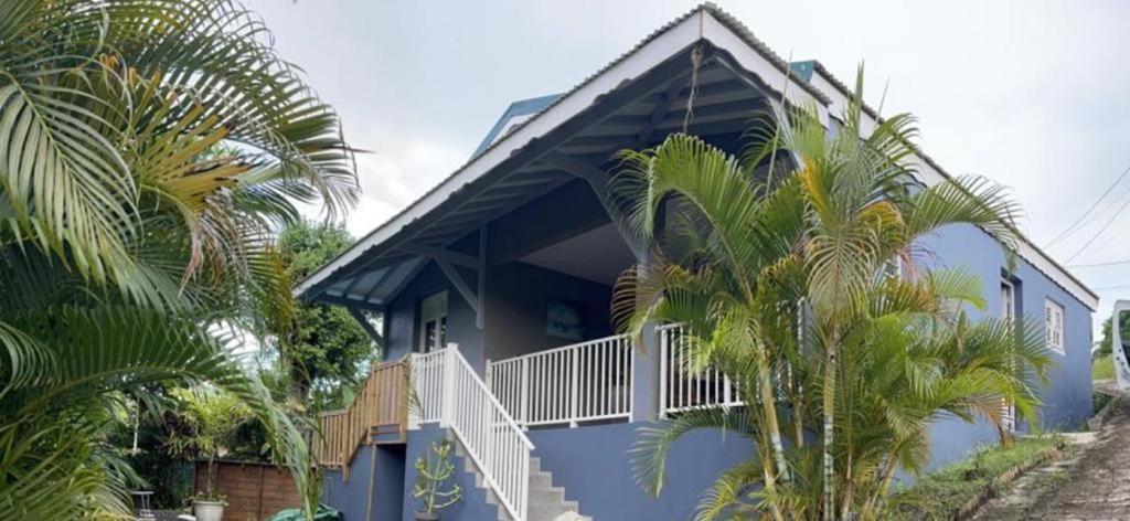 Rivière-PiloteVILLA CAPACITE 6 PERSONNES PROCHE PLAGES DU Sud的一座棕榈树的蓝色房子