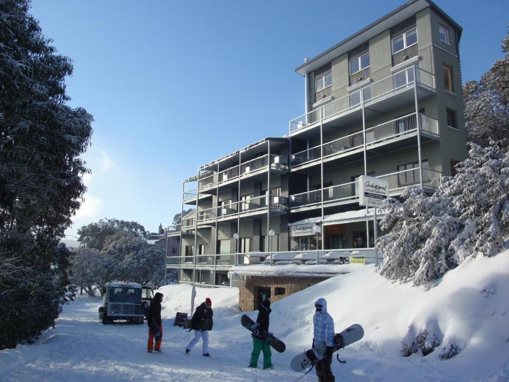 福尔斯克里克锡达伍德公寓的一群站在建筑物前的雪中的人