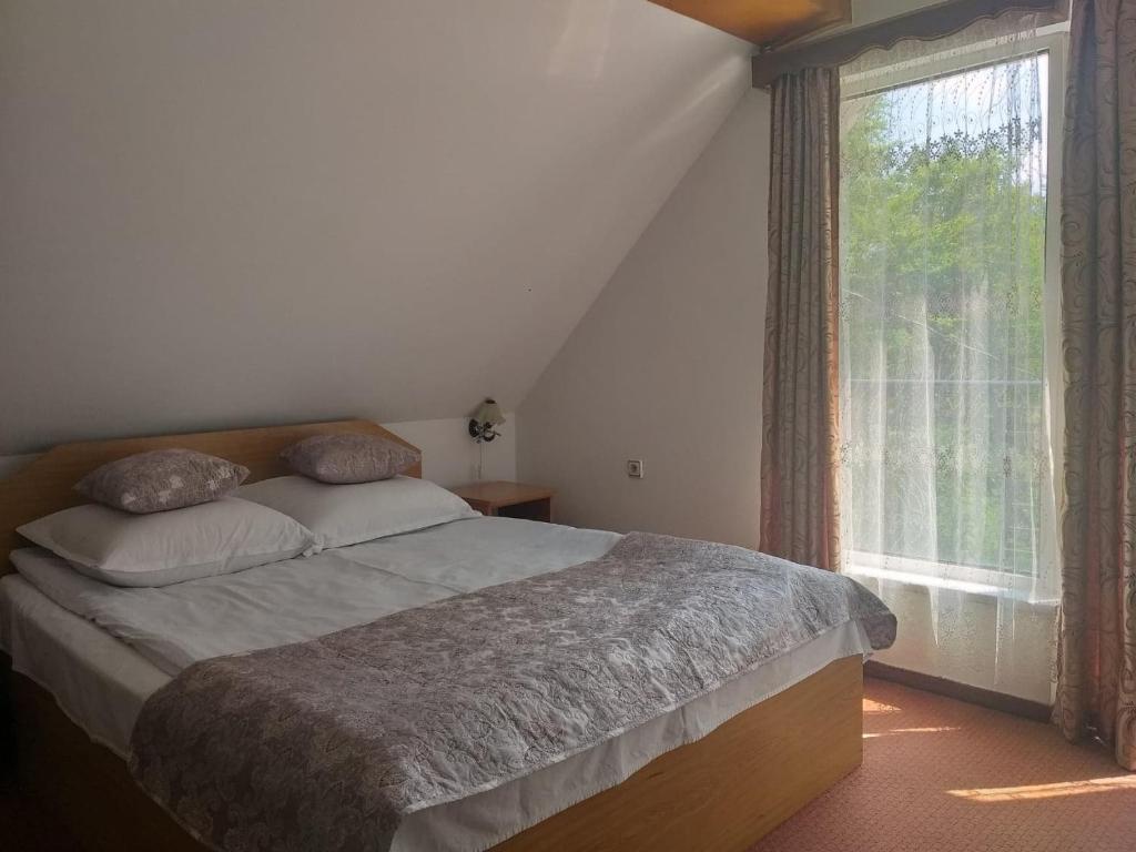 苏恰维塔Șoaptele pădurii & Căsuța din pădure的一间卧室设有一张床和一个大窗户