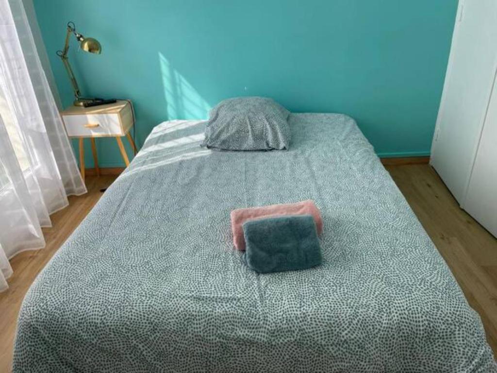 蒙圣埃尼昂Chambre dans appartement lumineux的一间卧室配有一张带枕头的床