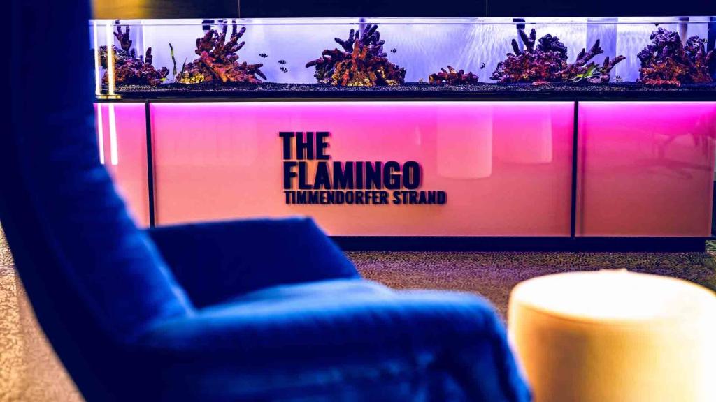蒂门多弗施特兰德The Flamingo的客厅配有蓝色椅子和电视