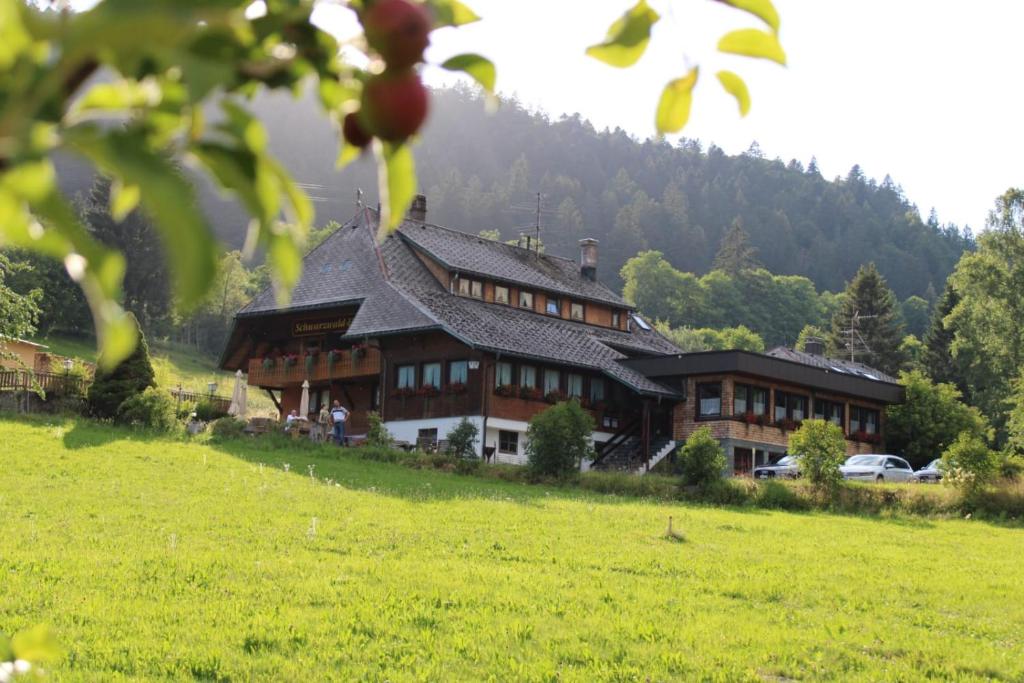 托特莫斯Das Schwarzwaldhotel的一座带绿地的山丘上的大型房屋