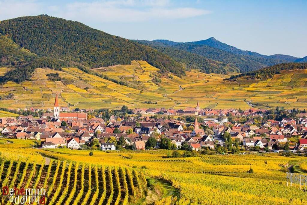 阿梅尔斯克维Chez Florence Ammerschwihr的山谷中的小镇,拥有葡萄园和山脉