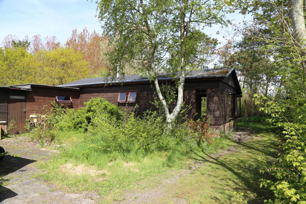 't HorntjeHuisje Vogelsand的森林中间的小木屋