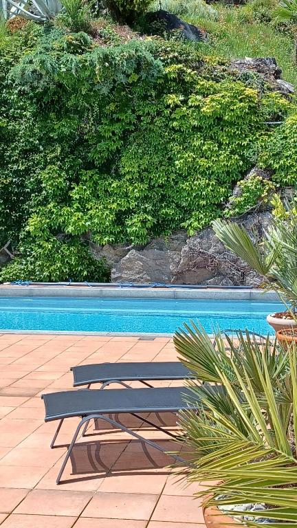 阿斯科纳Sollevante Ascona的游泳池旁的长凳