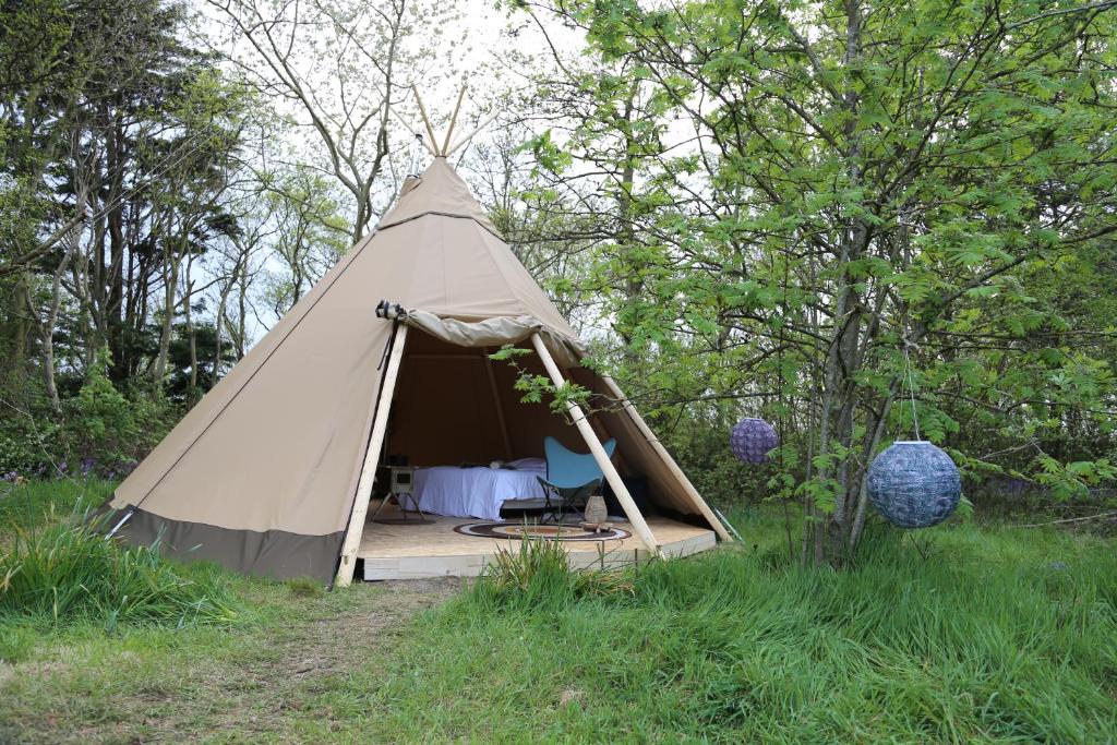 't HorntjeTipi Texel的田野上的帐篷,里面设有一张床