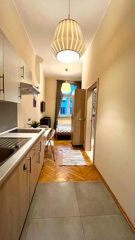 克拉科夫Homely Studio的厨房配有水槽和冰箱