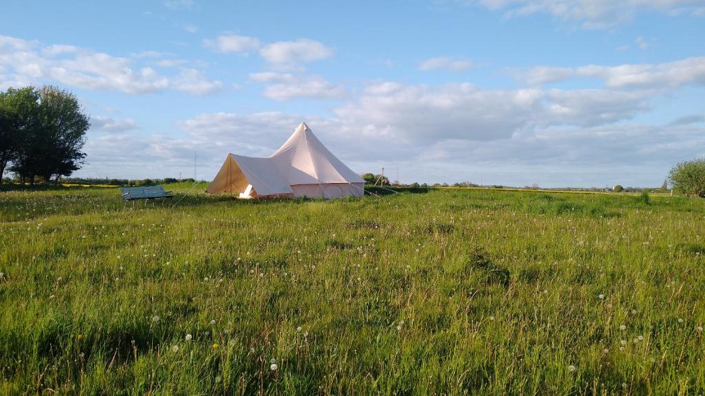 斯泰厄Cosy Farmhouse Glamping的田野上带长凳的大帐篷