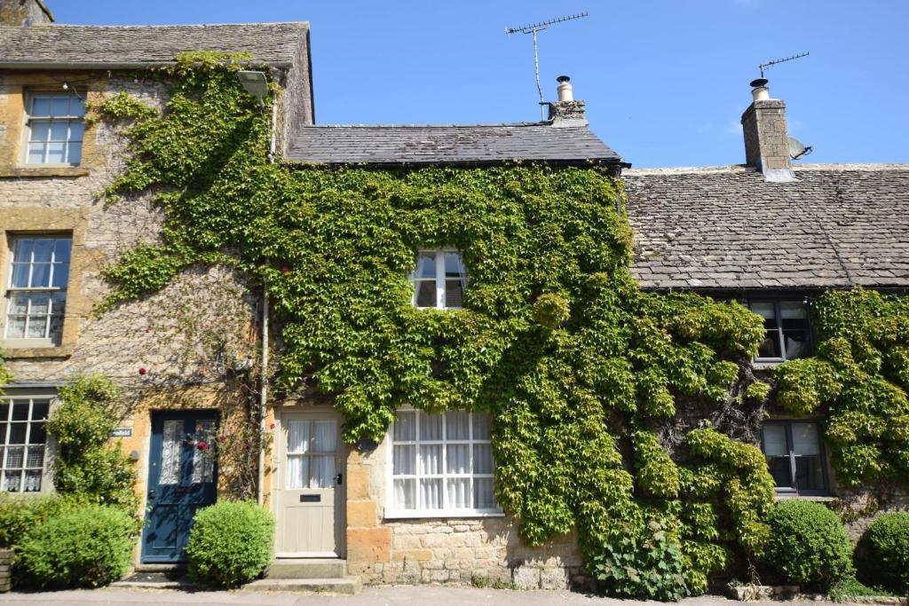 斯托昂泽沃尔德Honey Cottage的村里常春藤覆盖的房子