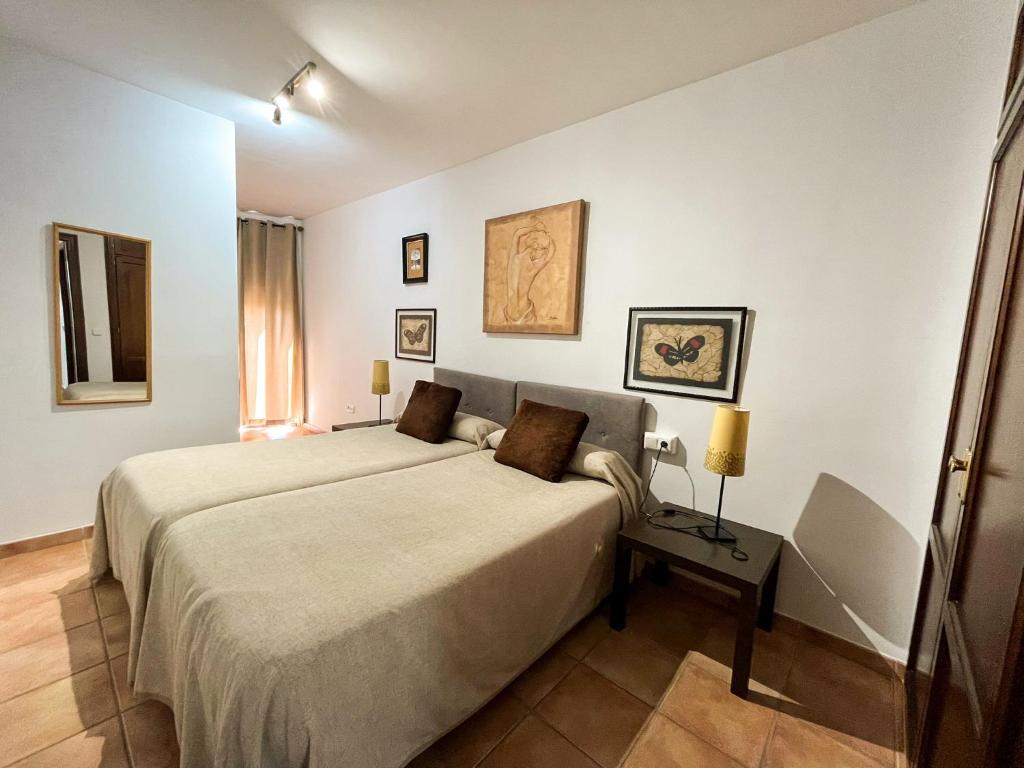康塞普西翁新镇托卡尔公寓的一间卧室配有一张大床和一张桌子